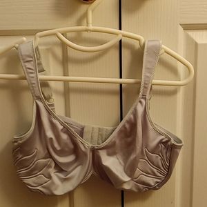 38DD Mint Green Bali Bra NWOT